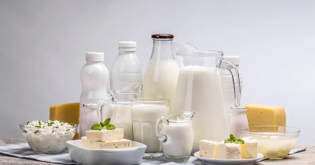 What is the dairy that helps prevent type 2 diabetes and obesity?