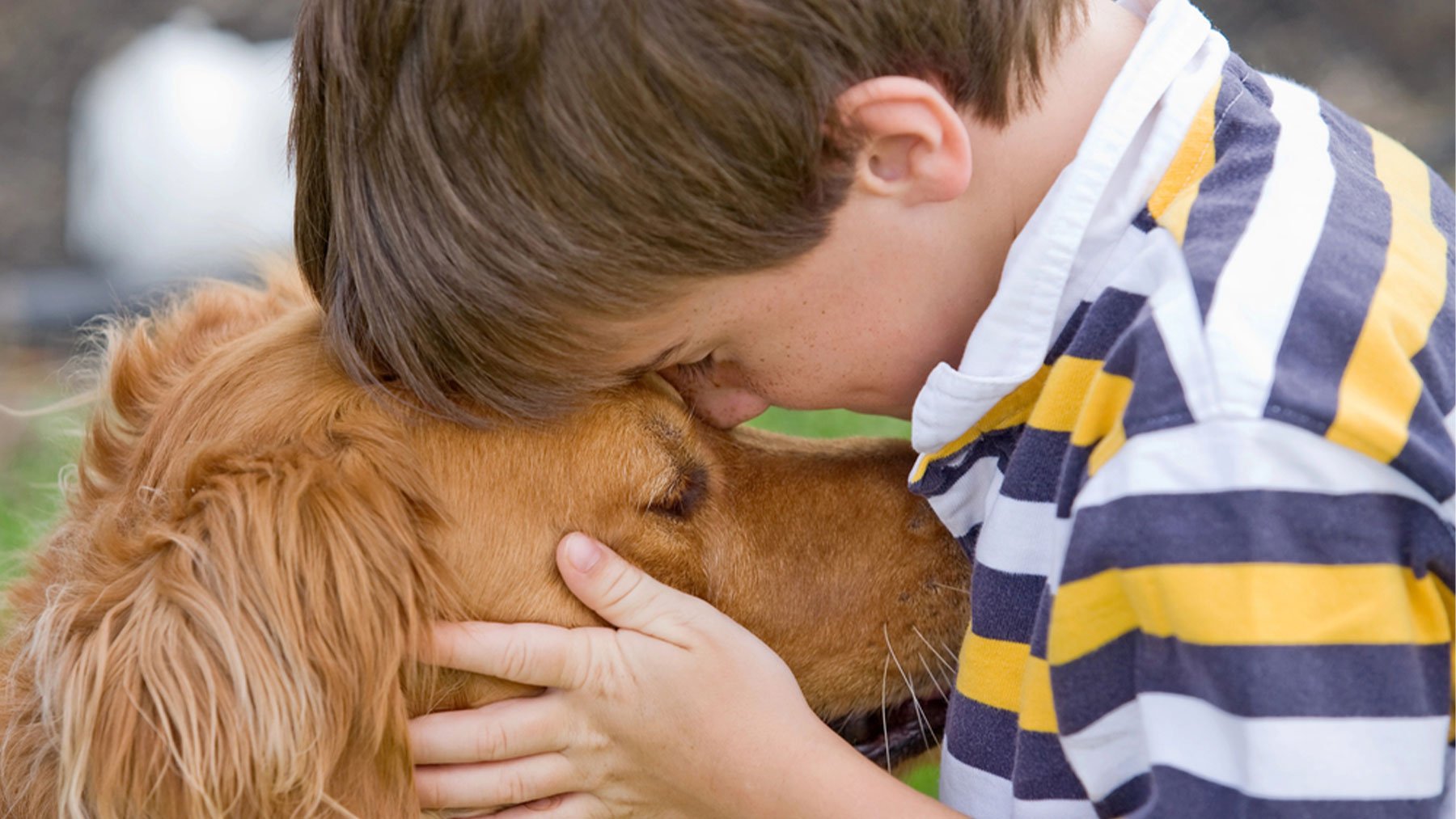 Dogs are essential as support in many medical therapies